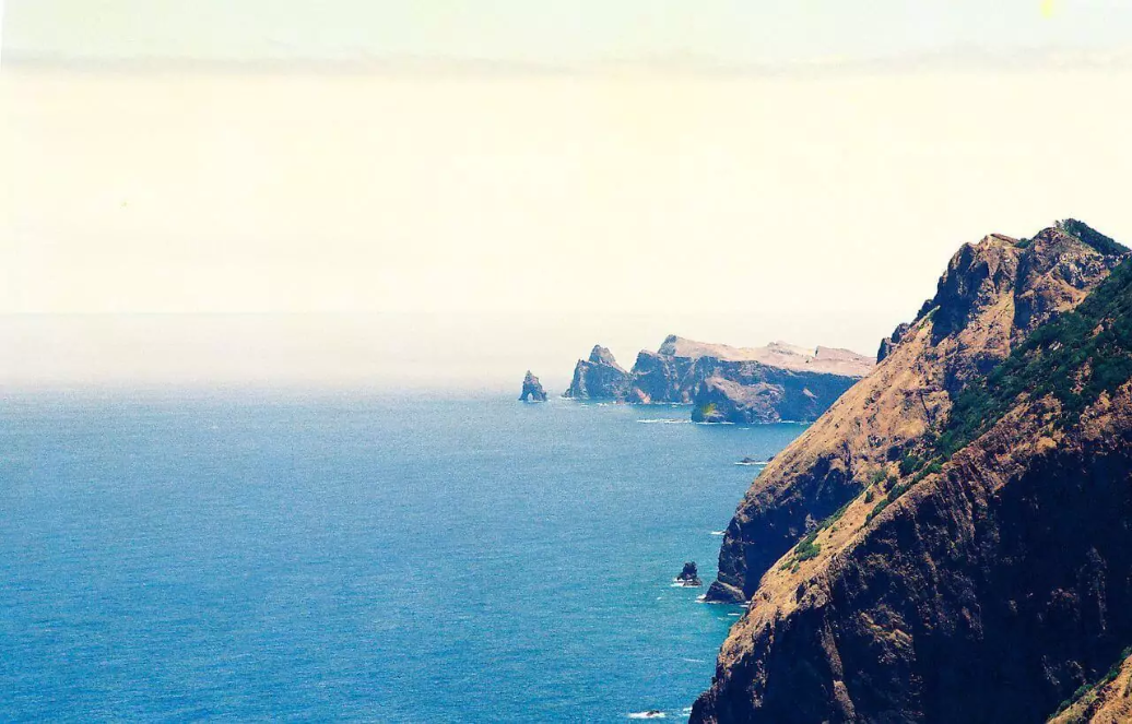 Thumbnail for Top 5 Boat Trips On The Madeira Island Coast