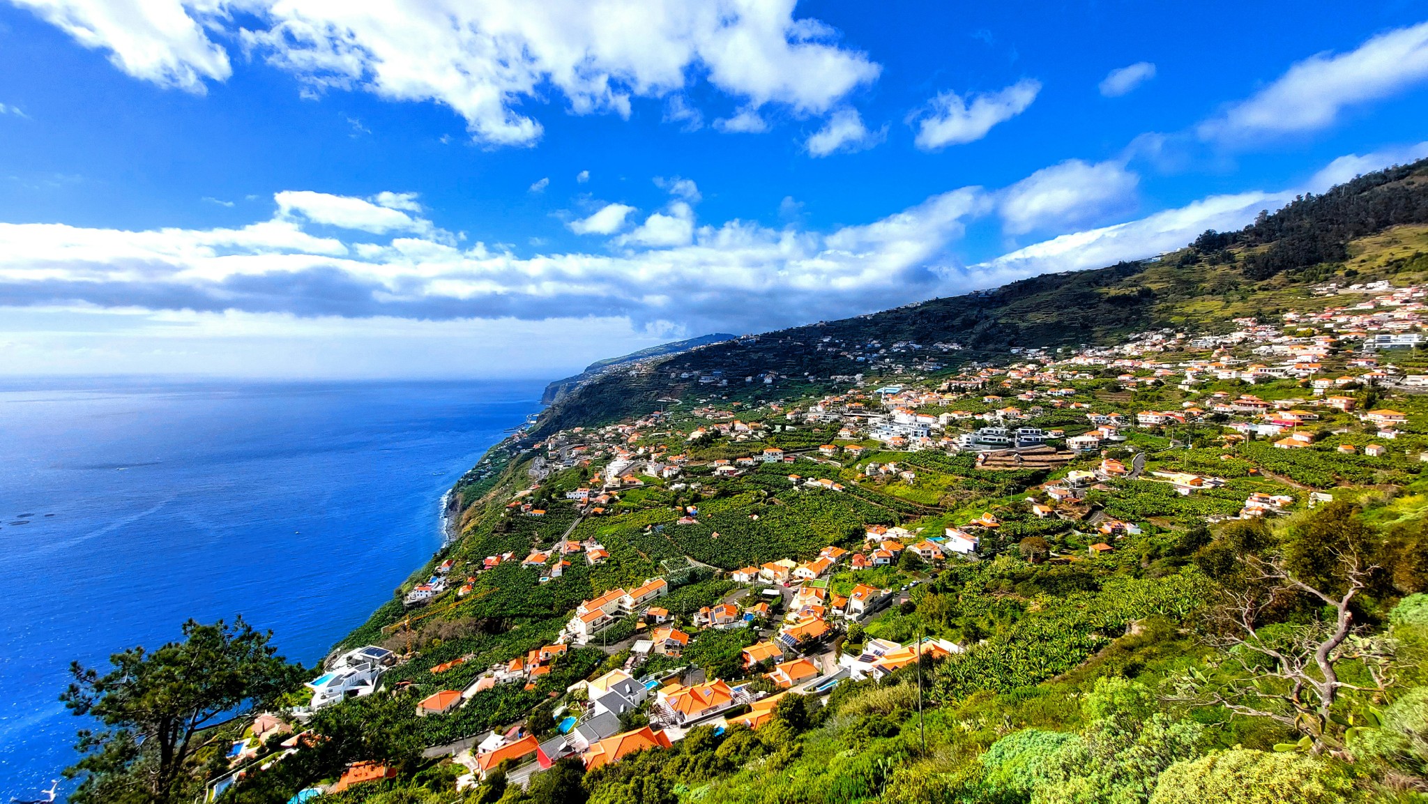 Thumbnail for Airbnb Calheta Madeira: 7 Top Stays & Why a Rental Car Makes a Difference