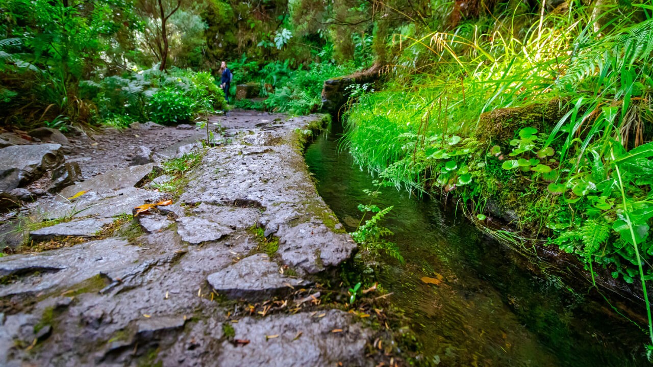How to Book the Best Hikes in Madeira Island (2026 Guide)