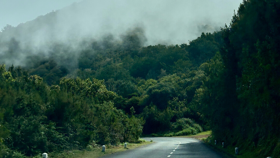 Mountain and Forest Roads in Madeira island