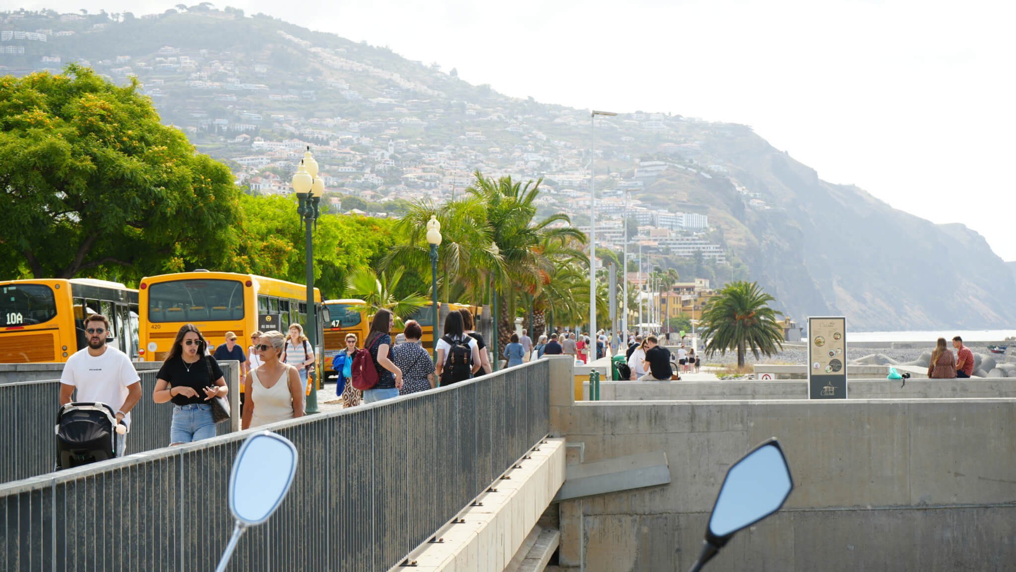 Wynająć samochód na Maderze czy skorzystać z transportu publicznego? Co będzie najlepsze na Twoją podróż (Przewodnik 2026)