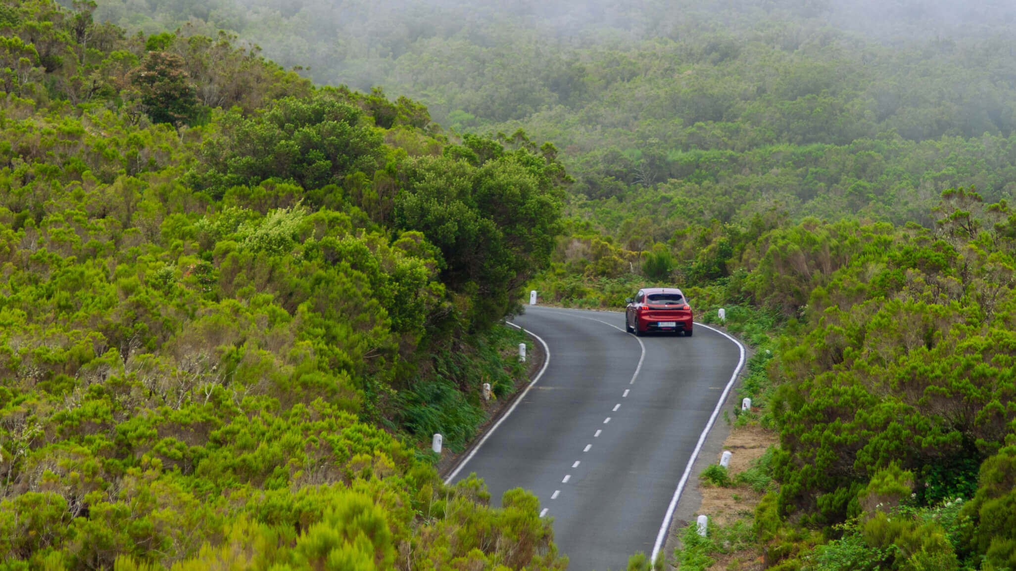 Why Choose 7M Rent a Car Madeira: 7 Reasons Travelers Love Us