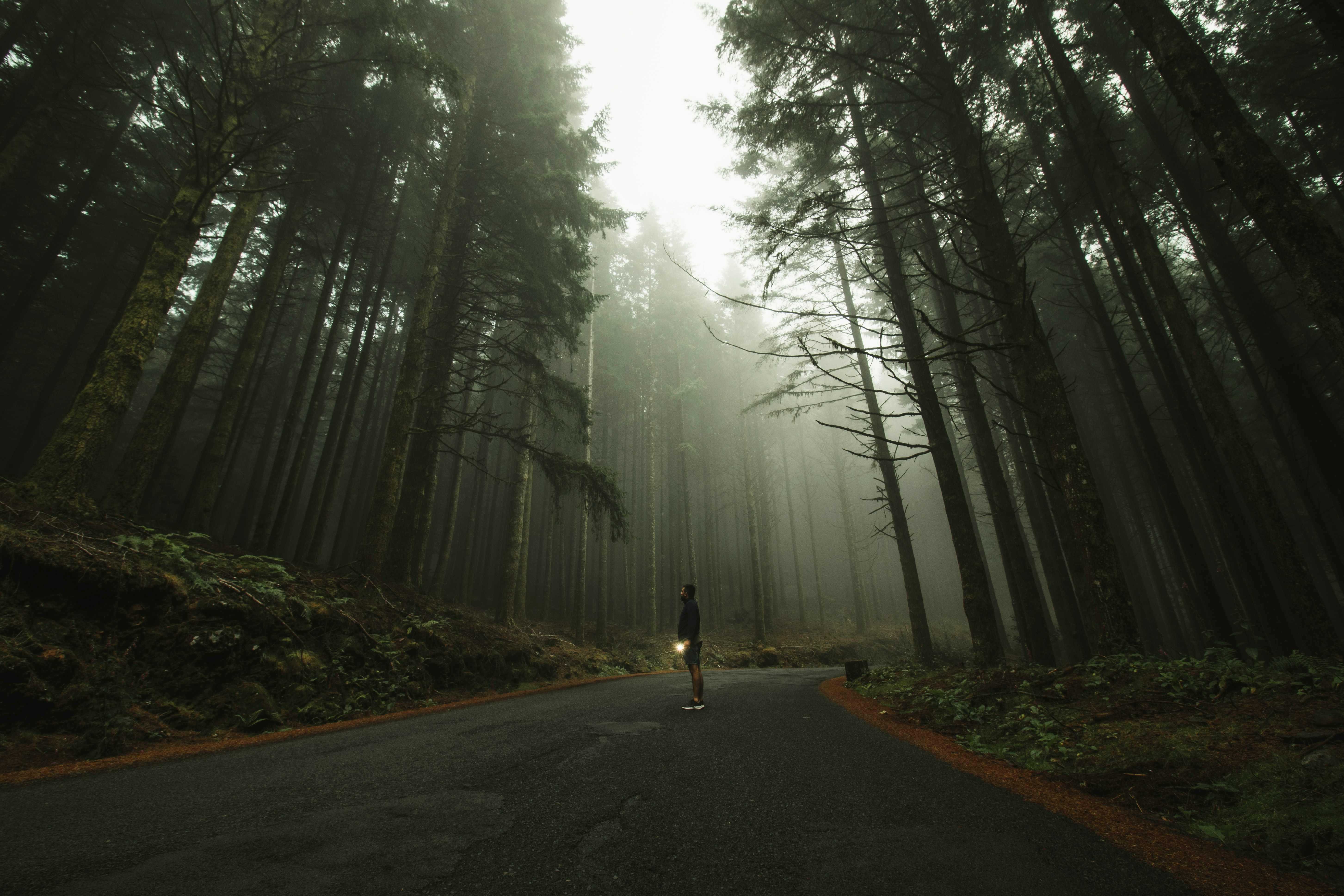 What to Do in Madeira on a Rainy Day: Indoor Activities and Local Experiences