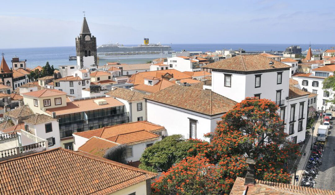Is Funchal Good for Families? 5 Kid-Friendly Attractions in Madeira