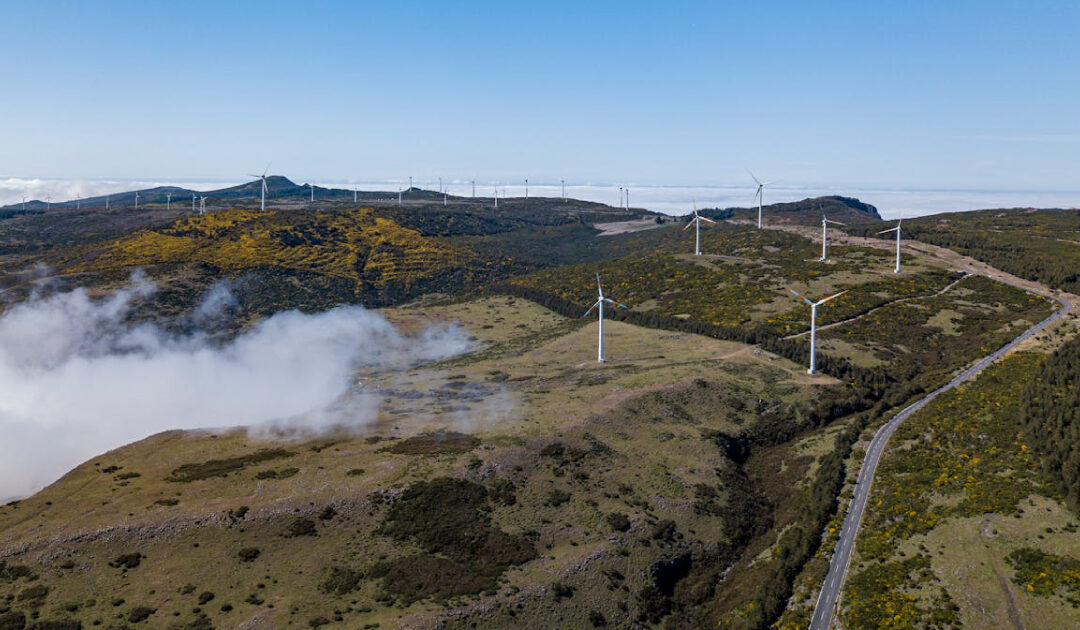 Should You Rent a Car in Madeira? 7 Pros & Cons for Your Trip