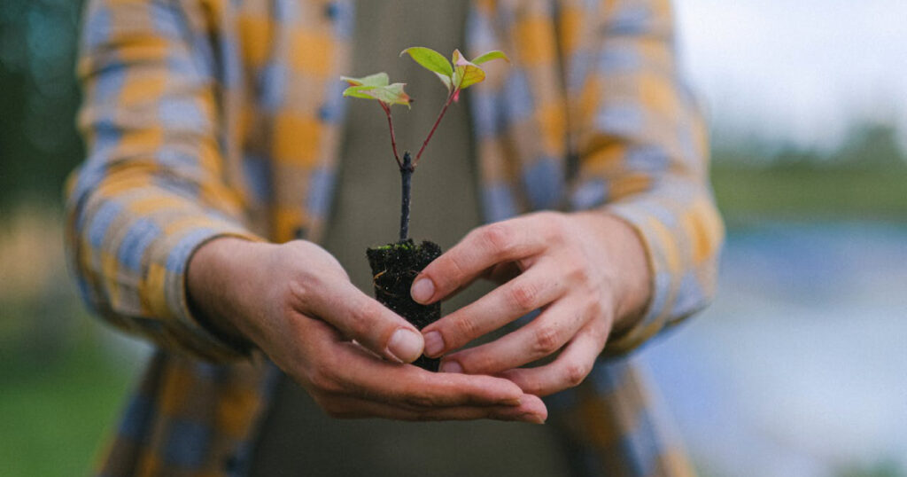 Funchal Ecological Park