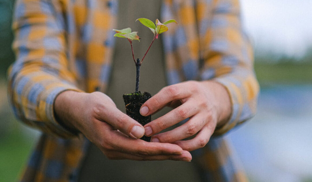 Funchal Ecological Park: What to See, Do, and Explore