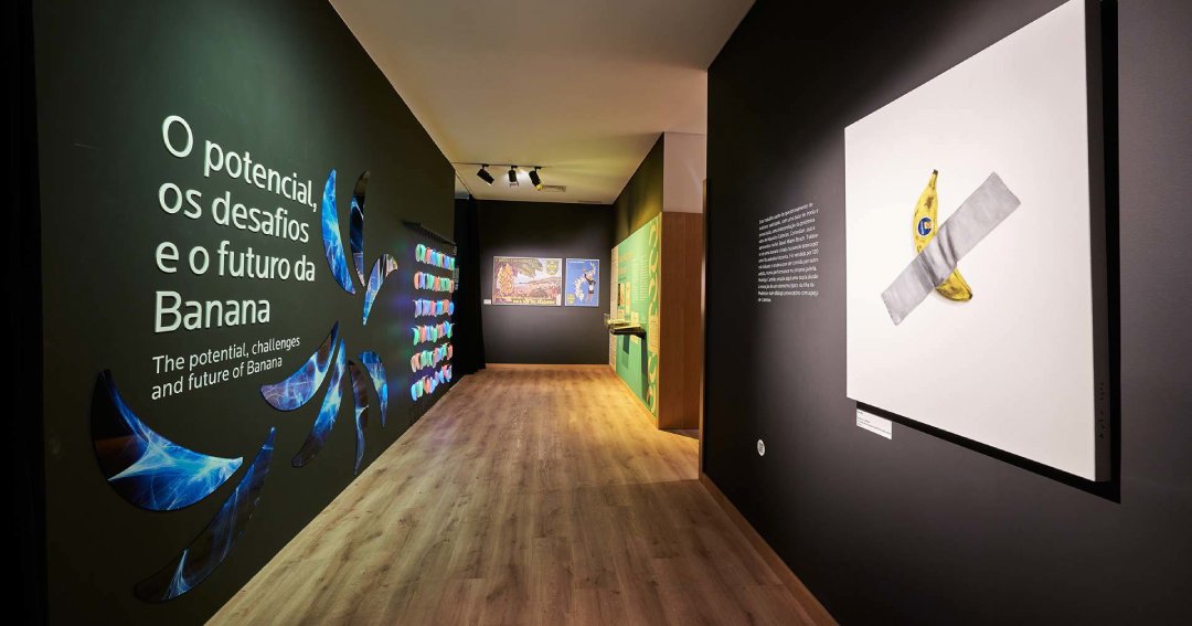 Banana Museum in Ponta do Sol